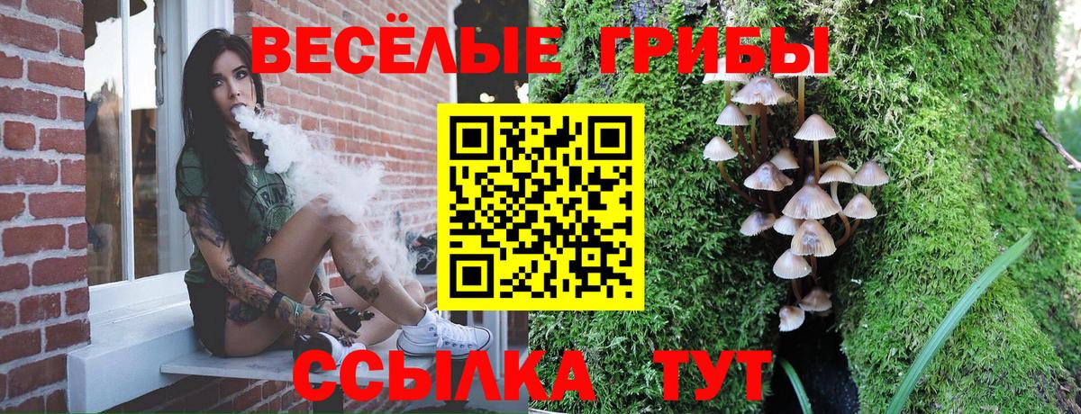 Галлюциногенные грибы мухоморы  Вход с VPN  закладка  Каменск-Уральский 